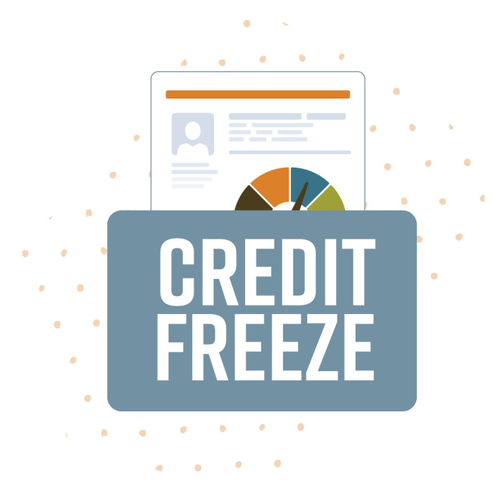 Credit Freeze