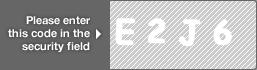 captcha code for visual authentication  letter E number 2 letter J number 6